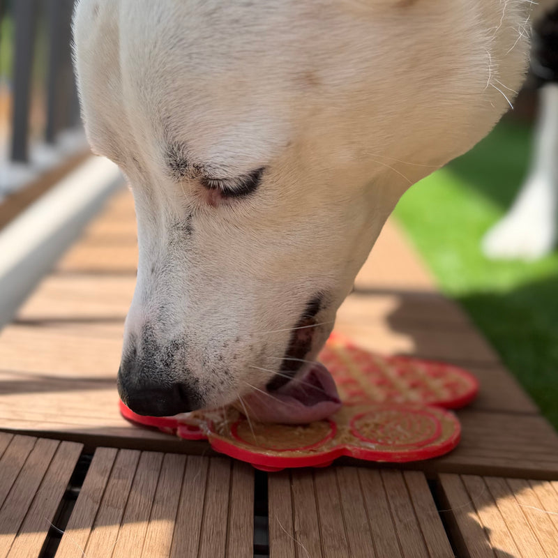 Pawz LickCalm™