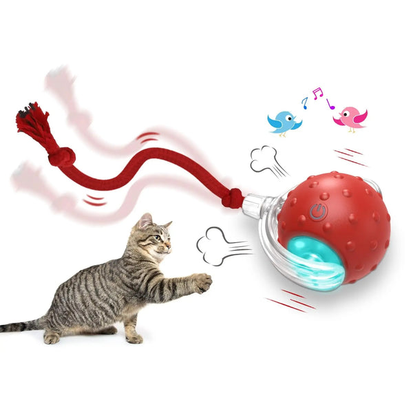 Pawz SpinChase™ — Self-Rolling Interactive Ball for Cats (Plays So You Don't Have To)