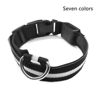 Pawz GlowGuard™ — LED Flashing Safety Collar for Dogs & Cats (Adjustable, Waterproof, Night Visibility) 2