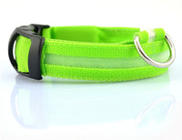 Pawz GlowGuard™ — LED Flashing Safety Collar for Dogs & Cats (Adjustable, Waterproof, Night Visibility) 3