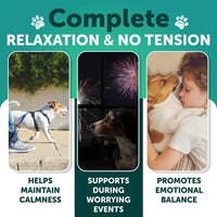 Pawz CalmPaws™ — Hemp Calming Chews for Anxious Dogs (120 Treats) 3