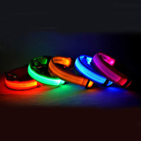 Pawz GlowGuard™ — LED Flashing Safety Collar for Dogs & Cats (Adjustable, Waterproof, Night Visibility) 1