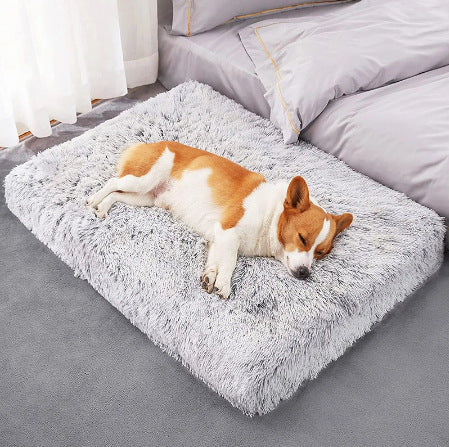 Pawz DreamCloud™ — Plush Orthopedic Memory Foam Pet Bed for Dogs & Cats (Machine Washable, S–XXL)