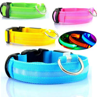 Pawz GlowGuard™ — LED Flashing Safety Collar for Dogs & Cats (Adjustable, Waterproof, Night Visibility) 5