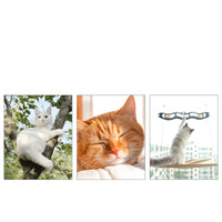Pawz SkyLounge™ — Wall-Mounted Window Hammock for Cats (No Drilling, Suction Install) 4