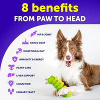 Pawz VitaLife™ 20-in-1 — Complete Daily Multivitamin for Dogs (Puppy to Senior) 2