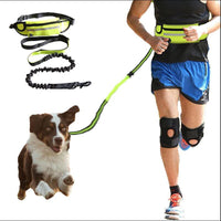 Pawz RunFree™ — Hands-Free Dog Running Leash & Waist Belt (Shock-Absorbing, Fits Up to 180 lbs, Phone Pocket) 1