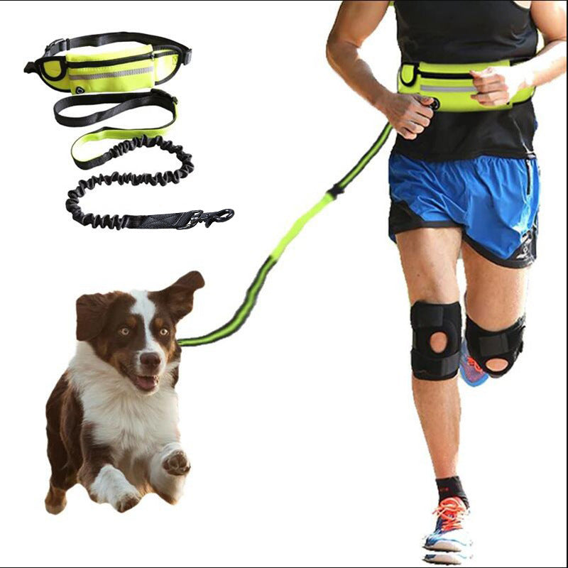 Pawz RunFree™ — Hands-Free Dog Running Leash & Waist Belt (Shock-Absorbing, Fits Up to 180 lbs, Phone Pocket)