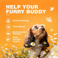Pawz AllerEase™ — Vet-Inspired Allergy Relief Chews for Dogs (Stops the Itch) 3