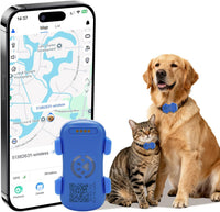 Pawz TrackSafe™ — Real-Time GPS Tracker for Dogs (Because Lost Is Not an Option) 1