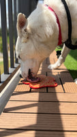 Pawz LickCalm™ — Slow Feeder Lick Mat for Dogs & Cats (Anxiety Relief + Enrichment) 2