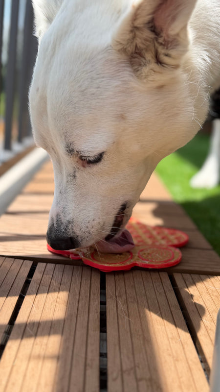 Pawz LickCalm™ — Slow Feeder Lick Mat for Dogs & Cats (Anxiety Relief + Enrichment)