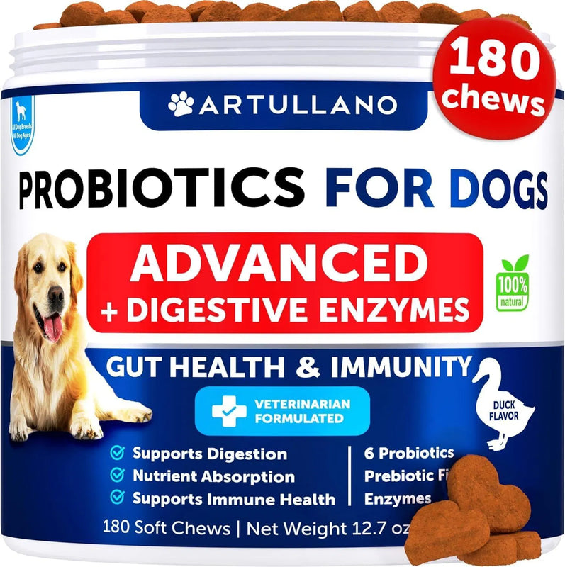 Pawz GutGuard™ — Probiotic & Digestive Enzyme Chews for Dogs (Happy Gut, Happy Dog)