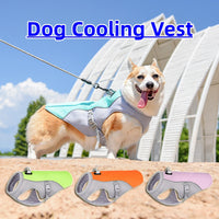 Pawz CoolDown™ — Evaporative Cooling Vest for Dogs | UV Protection + Heat Relief | Breathable Summer Wear | S to 3XL 1
