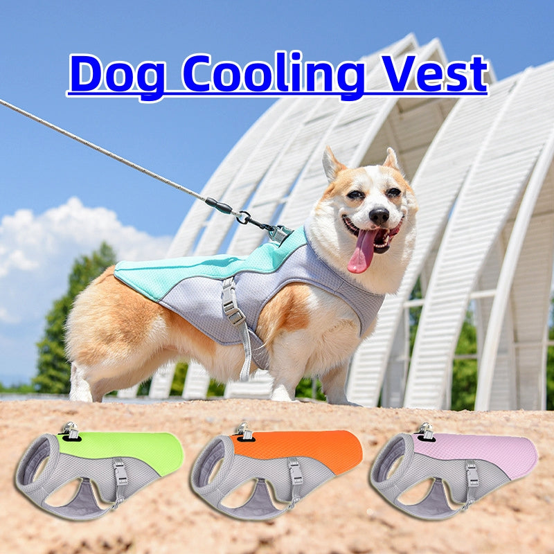 Pawz CoolDown™ — Evaporative Cooling Vest for Dogs | UV Protection + Heat Relief | Breathable Summer Wear | S to 3XL