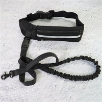 Pawz RunFree™ — Hands-Free Dog Running Leash & Waist Belt (Shock-Absorbing, Fits Up to 180 lbs, Phone Pocket) 2