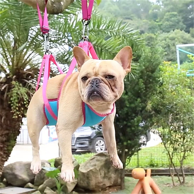 Pawz CalmClip™ — Pet Grooming Hammock for Cats & Dogs | Stress-Free Nail Trimming Harness | Optional Full Tool Kit