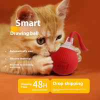 Pawz SpinChase™ — Self-Rolling Interactive Ball for Cats (Plays So You Don't Have To) 4