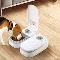 Pawz AutoFeed™ — 2-in-1 Gravity Automatic Pet Feeder & Water Dispenser (Single & Double Bowl, Dogs & Cats) 5